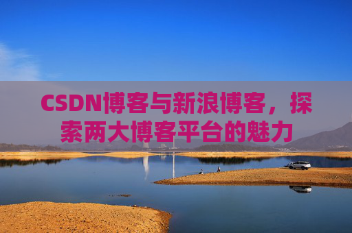 CSDN博客与新浪博客,探索两大博客平台的魅力